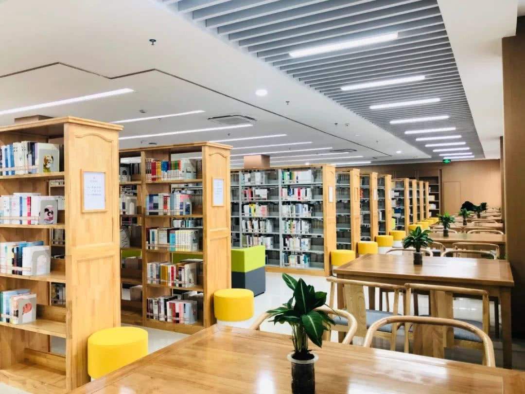 中山大学深圳校区图书馆吊灯和阅览灯具采购项目中标公告