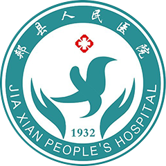 【平公资采2026110号】郏县人民医院信息系统运维与灾容备份服务项目-竞争磋商公告